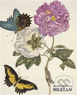 Levně Maria Sibylla Merian - Daniel Kiecol - kniha z kategorie Životopisy