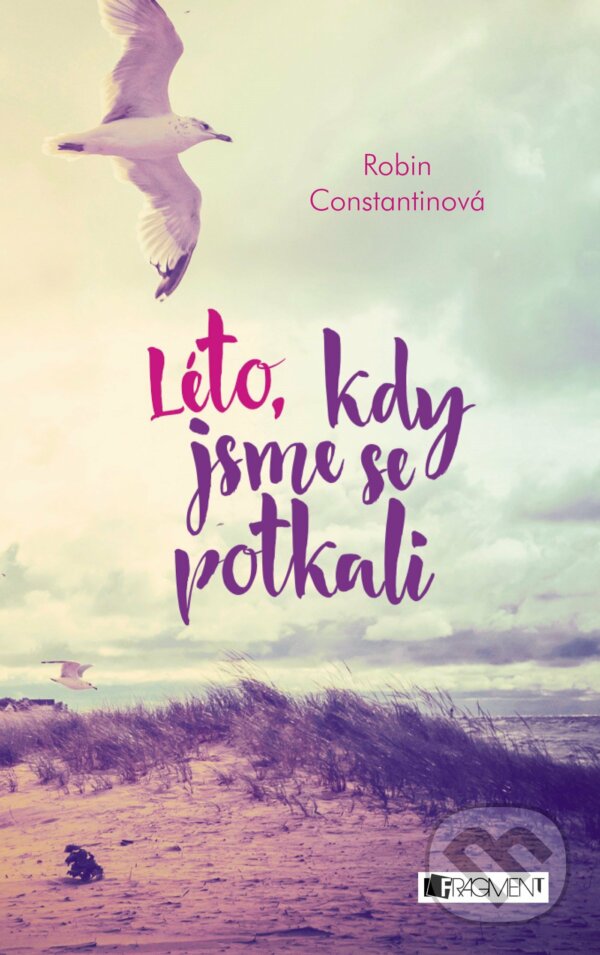 E-kniha: Léto, kdy jsme se potkali (Robin Constantine). Nakladatelství Fragment, 2016