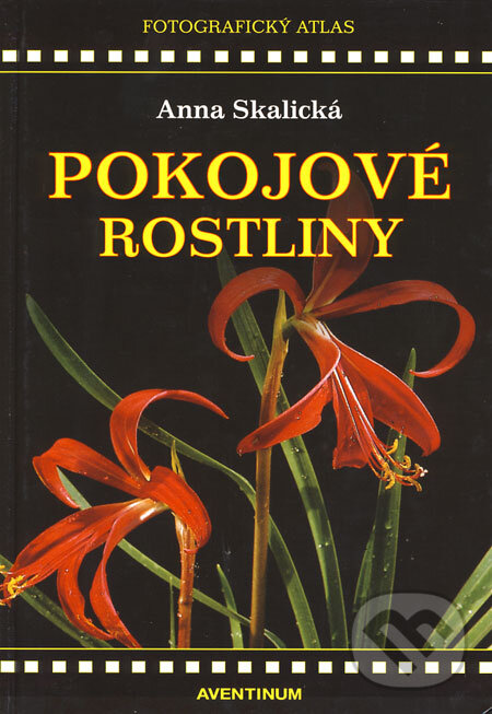 Levně Pokojové rostliny - Anna Skalická - kniha z kategorie Dom, byt a záhrada
