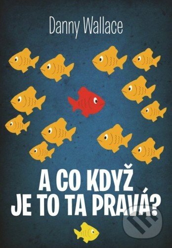 E-kniha: A co když je to ta pravá? (Danny Wallace). XYZ, 2015