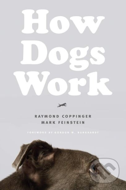 Levně How Dogs Work - Raymond Coppinger, Mark Feinstein - kniha z kategorie Chov zvierat
