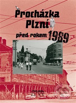 Procházka Plzní před rokem 1989 - Petr Mazný, Starý most, 2019