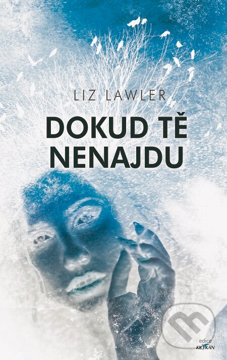E-kniha: Dokud tě nenajdu (Liz Lawler). Alpress, 2019