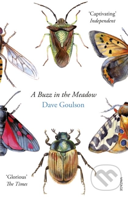 A Buzz in the Meadow - Dave Goulson, Vintage, 2015