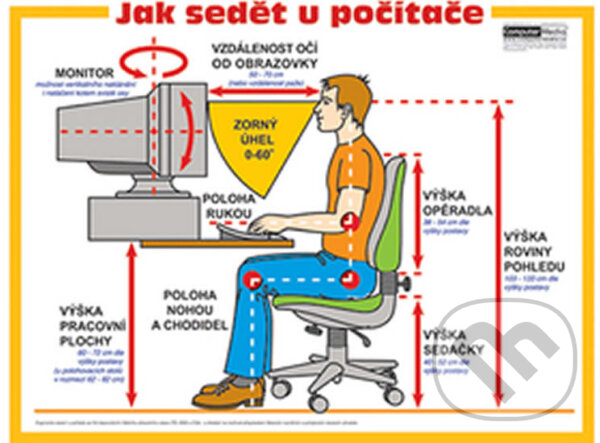 Levně Jak sedět u počítače: nástěnný obraz