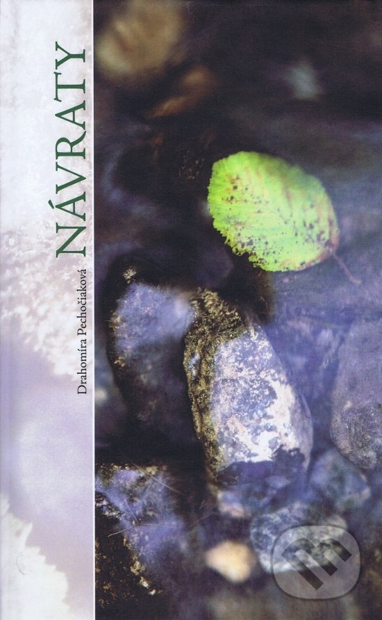 Levně Návraty - Drahomíra Pechočiaková - kniha z kategorie Poézia