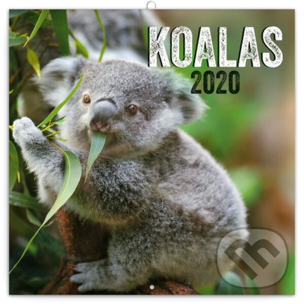 Poznámkový kalendář / kalendár Koalas 2020, Presco Group, 2019