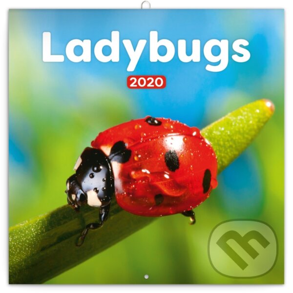 Poznámkový kalendář / kalendár Ladybugs 2020, Presco Group, 2019