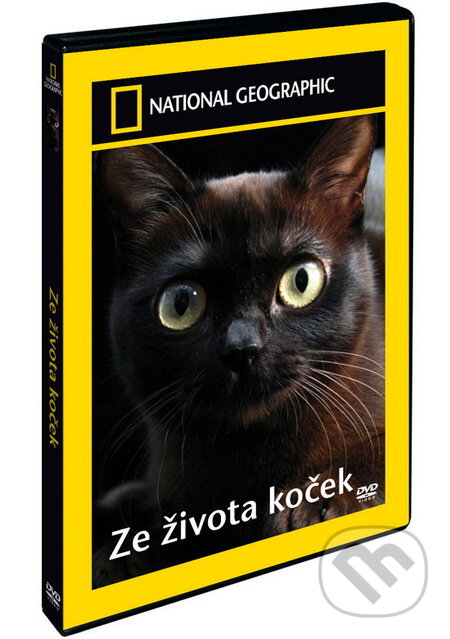 Film: Zo života mačiek (Magicbox) (DVD). Magicbox, 2008