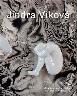 Levně Jindra Viková - Je později, než si myslíš - Jindra Viková - kniha z kategorie Životopisy