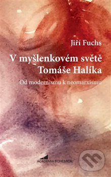 Levně V myšlenkovém světě Tomáše Halíka - Jiří Fuchs - kniha z kategorie Kresťanstvo