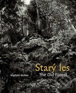 Levně Starý les / The Old Forest - Vladimír Bichler