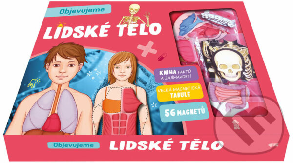 Kniha: Objevujeme: Lidské tělo (Autorský kolektiv). Pikola, 2019