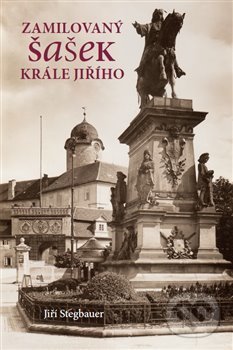 Levně Zamilovaný šašek krále Jiřího - Jiří Stegbauer - kniha z kategorie Poézia