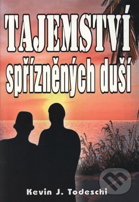 Levně Tajemství spřízněných duší - Kevin J. Todeschi - kniha z kategorie Vzťahy a rodina