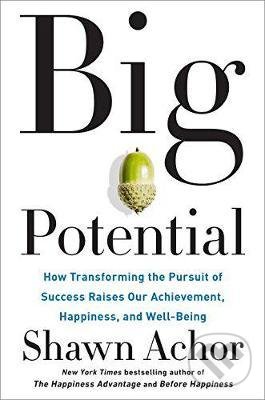 Levně Big Potential (Five Secrets of Reaching Higher by Powering Those Around You) - kniha z kategorie Beletria