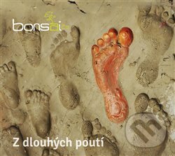 Kniha Z dlouhých poutí