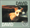 Kniha: David (Jiří David)
