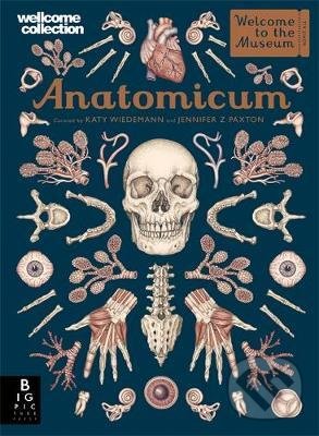 Levně Anatomicum - Jennifer Z. Paxton, Katy Wiedemann (ilustrácie) - kniha z kategorie Naučné knihy