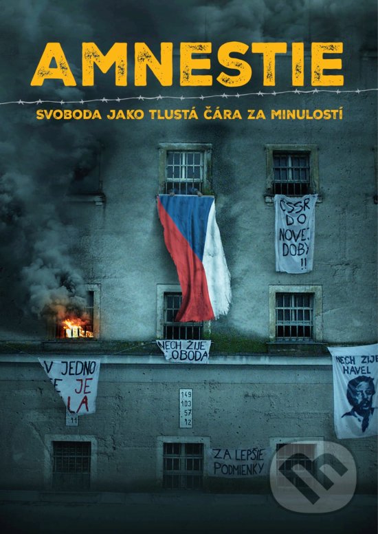 Levně Amnestie (Svoboda jako tlustá čára za minulostí) - kniha z kategorie Beletria