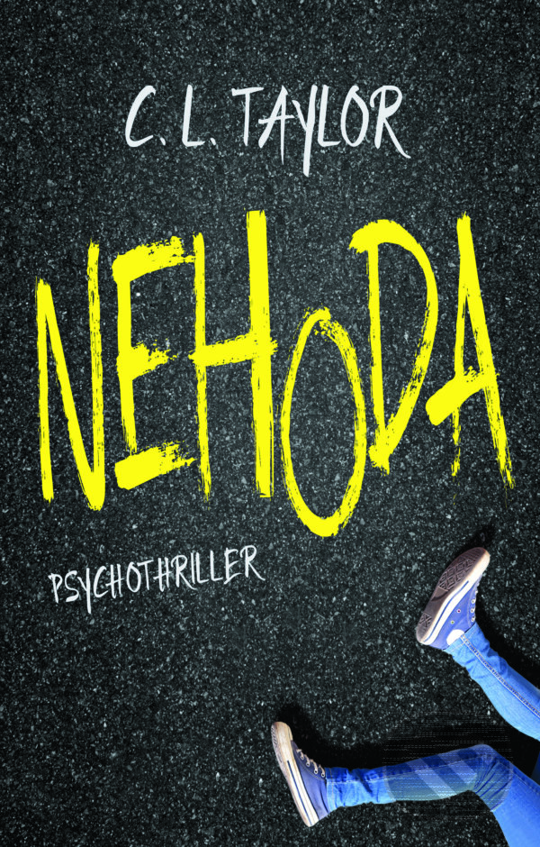 E-kniha: Nehoda (C.L. Taylor). Domino, 2016