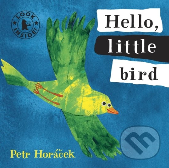 Kniha Hello, Little Bird