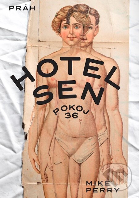 Hotel Sen, pokoj 36 - Mike Perry, Práh, 2019
