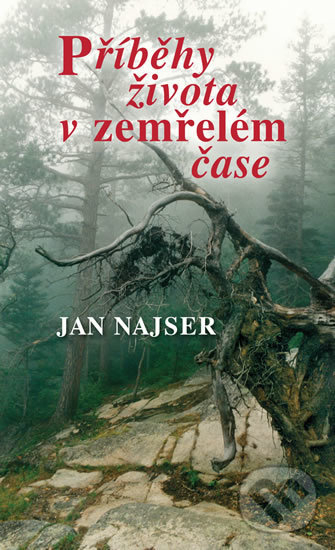 Levně Příběhy života v zemřelém čase - Jan Najser - kniha z kategorie Beletria