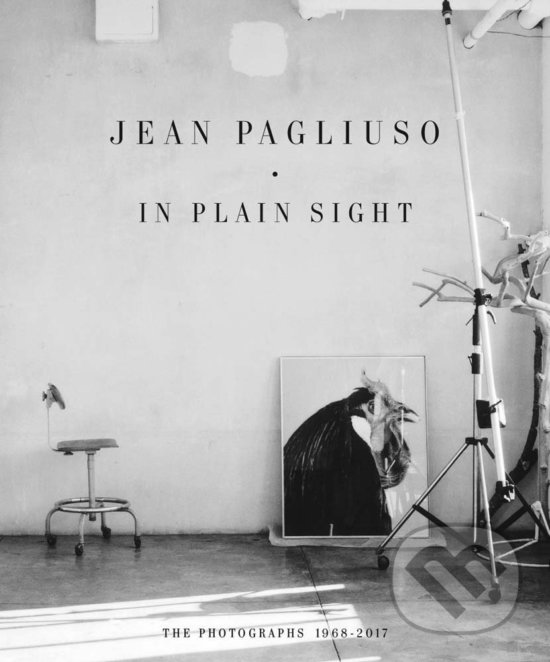 Levně In Plain Sight (The Photographs 1968 - 2017) - Jean Pagliuso - kniha z kategorie Fotografie