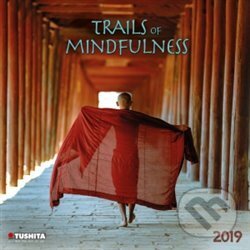 Trails of Mindfulness 2019, Tushita, 2018