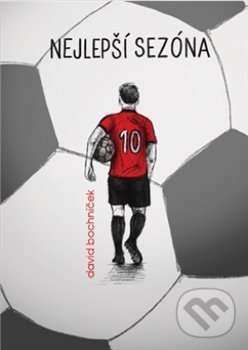 Levně Nejlepší sezona - David Bochníček - kniha z kategorie Beletria