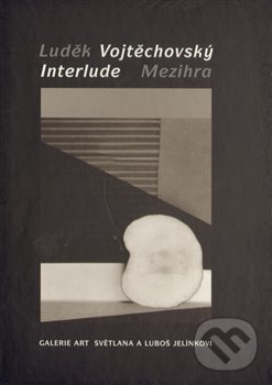 Levně Mezihra - Luděk Vojtěchovský - kniha z kategorie Fotografie