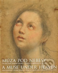 Levně Múza pod nebesy (Italská raně barokní kresba z českých a moravských sbírek) - kniha z kategorie Maliarstvo a sochárstvo