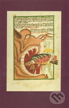 Levně The Jena Codex - kniha z kategorie Stredovek