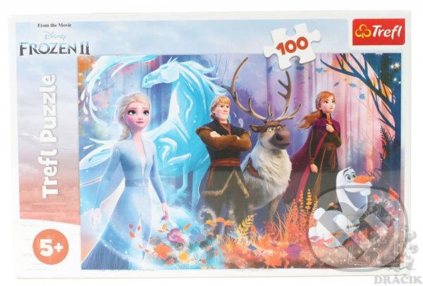 Levně Ledové království 2 (Mrazivá magie) - puzzle z kategorie Disney