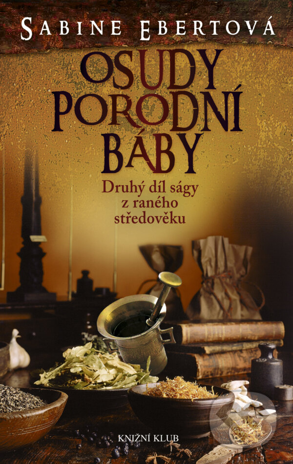 E-kniha: Osudy porodní báby (Sabine Ebert). Knižní klub, 2011