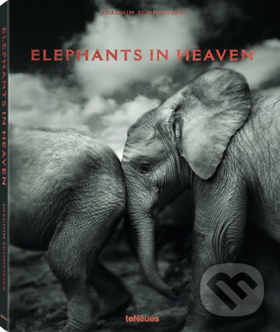 Levně Elephants in Heaven - Joachim Schmeisser - kniha z kategorie Fotografie