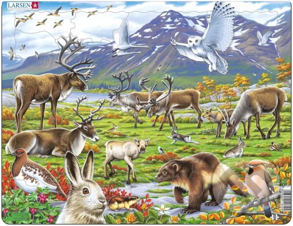 Levně Arctic Land FH14 - puzzle z kategorie Náučné puzzle