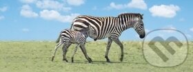 Levně Záložka Úžaska Zebra s mládětem