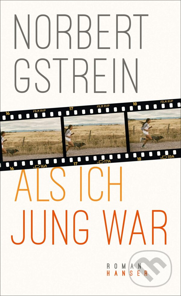 Levně Als ich jung war - Norbert Gstrein