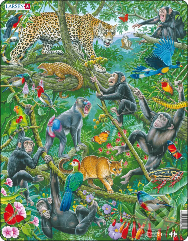 Africký dažďový les FH41, Larsen, 2020