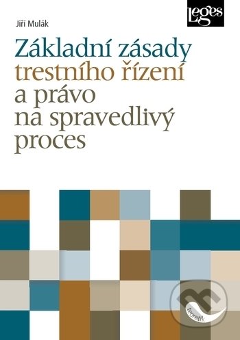 Levně Základní zásady trestního řízení a právo na spravedlivý proces - kniha z kategorie Trestné právo