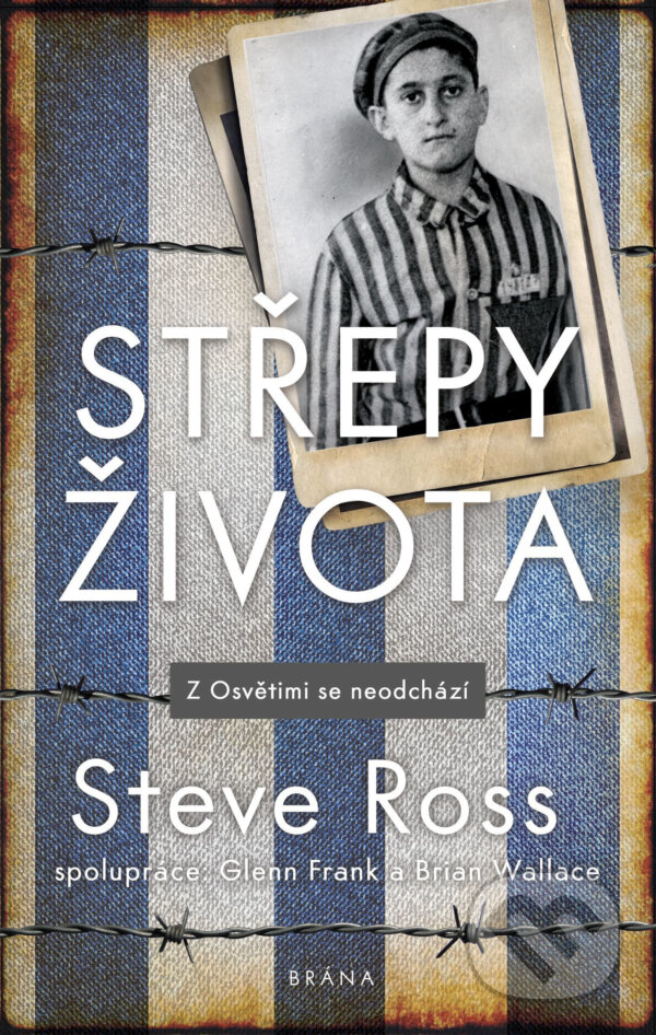 E-kniha: Střepy života (Brian Wallace, Glenn Frank a Steve Ross). Brána, 2019