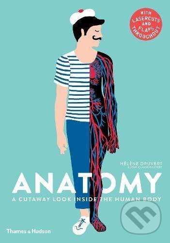 Levně Anatomy (A Cutaway Look Inside the Human Body) - Jean-Claude Druvert, Helene Druvert (ilustrácie) - kniha z kategorie Naučné knihy