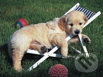 Puzzle: Relax (Ravensburger). Ravensburger