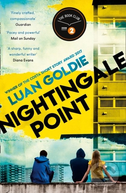 Levně Nightingale Point - Luan Goldie - kniha z kategorie Spoločenská beletria