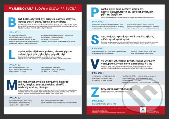 Levně Vyjmenovaná slova a slova příbuzná (Přehledová tabulka učiva) - kniha z kategorie Jazykové učebnice a slovníky