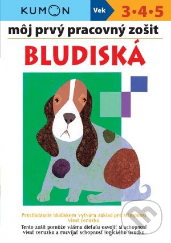 Môj prvý pracovný zošit: Bludiská, Svojtka&Co., 2020
