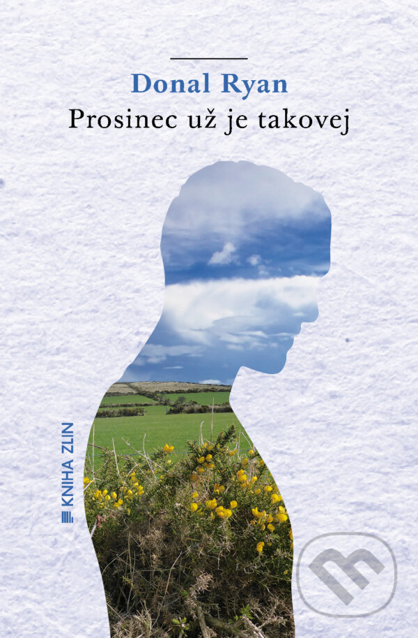 E-kniha: Prosinec už je takovej (Donal Ryan). Kniha Zlín, 2015