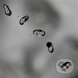 Levně Peter Gabriel: Up LP (2 LP) - Peter Gabriel